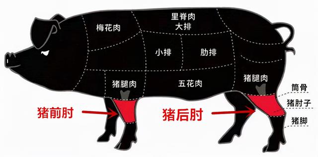 年货买肘子，你知道“前肘”和“后肘”差别有多大吗？别买错了