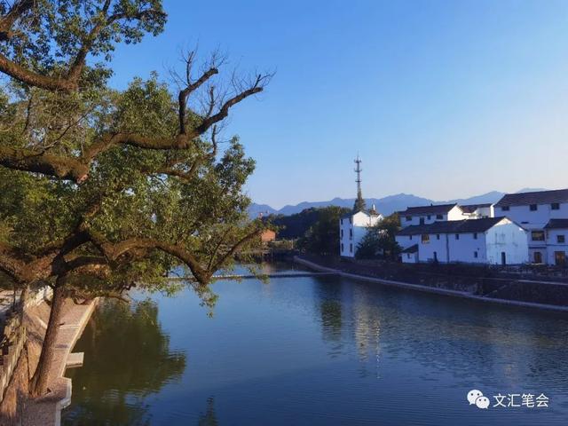 在浙江兰溪，仰视王春翠｜裘山山