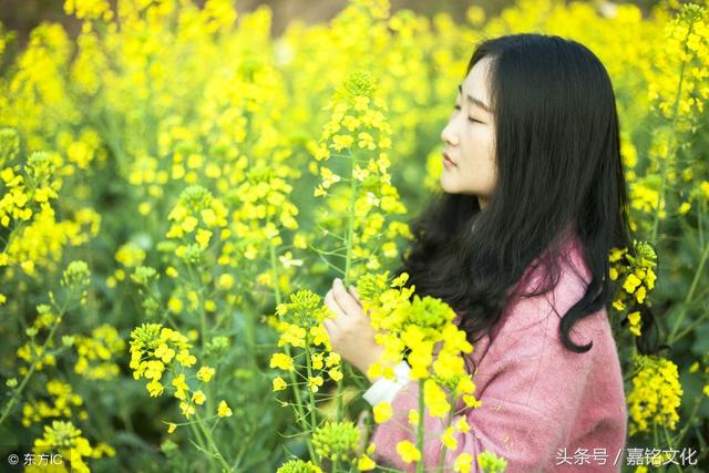 那些听起来就十分美好的植物名字，宝宝取名也可以用哦