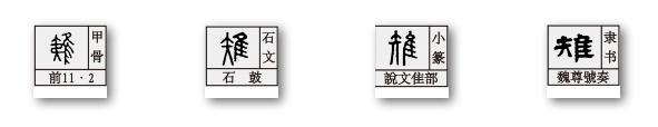 隹字家族：稚、雉、翟，这些字古人为什么这么造？背后真的有道理