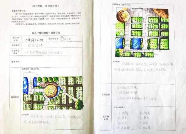 3月不用去太子湾就能赏花！新的一年，杭州这所小学种下好几亩郁金香