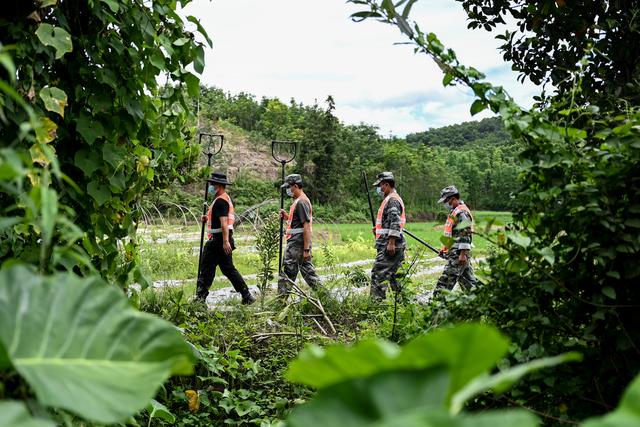 点点相望 只为山河无恙——云南逾15万人坚守边境疫情防控一线观察