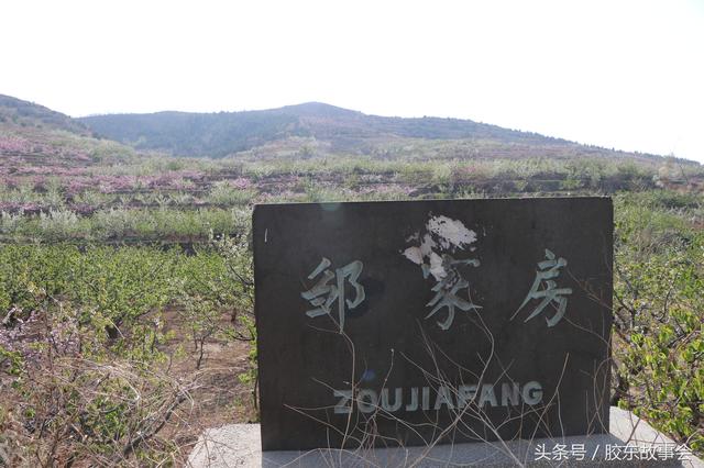邹姓人当初在山里建了几间草房，现成为福山的赏花名村
