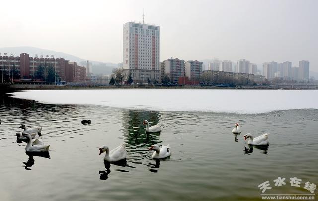 “天水”之名的由来