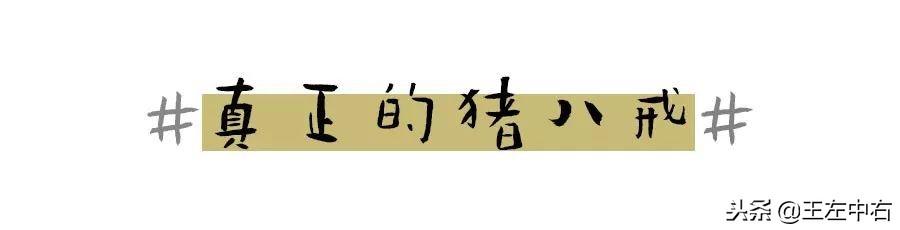 猪八戒你真的读懂了吗？死不正经的人其实最深情。