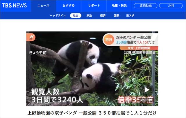 日本民众见这对大熊猫得抽签，中签率1/348，只能看一分钟