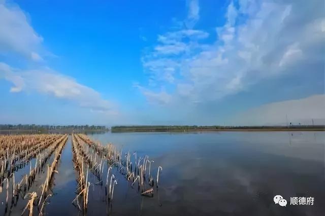 任泽区的前世今生之九水归一泽