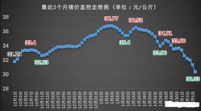 猪价“持续暴跌”！跌破13元已在路上？为啥猪肉不降？答案来了