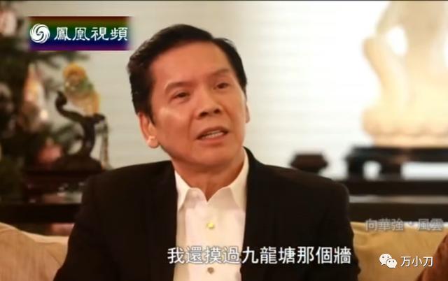 万小刀：向氏夫妇的江湖秘史