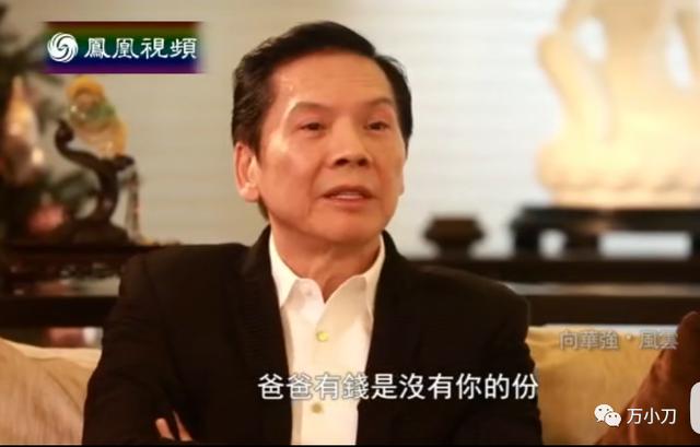 万小刀：向氏夫妇的江湖秘史