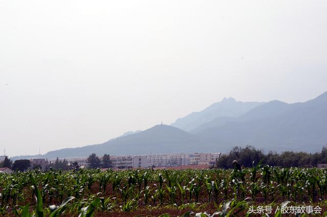 烟台栖霞桃村的孙姓人，家族的根在江苏苏州的桃花坞