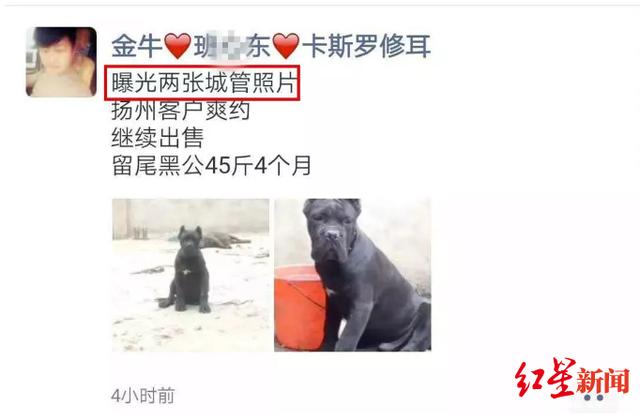 男子给狗取名“城管”“协管”被拘10天 律师：这并不违法