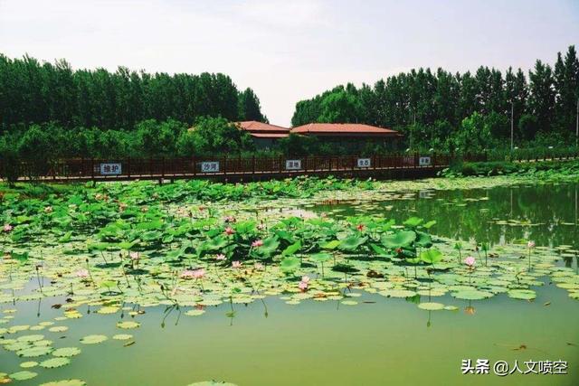 流庄：狗娃娃的老家（舞阳县莲花镇 刘庄）