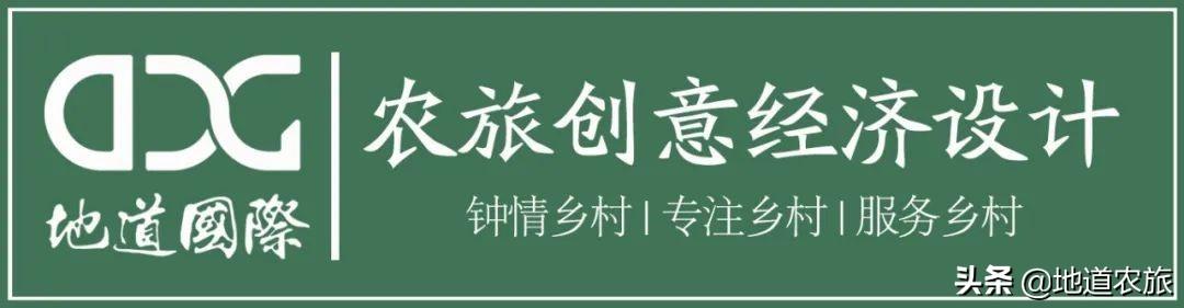 农旅/康养项目，如何起个好名字？