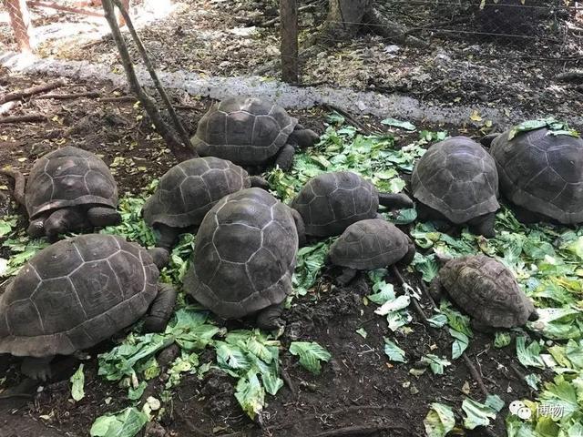 什么？武汉居然不是一座城市