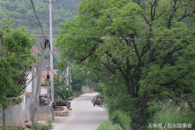 组图：一支罗姓人从汝南迁到栖霞，在山沟里建起这个村