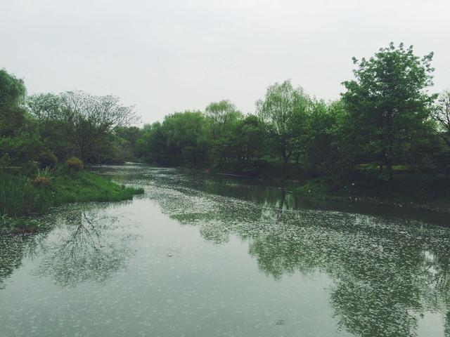 青青世界——杭州西溪湿地之洪园