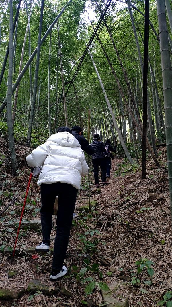 洞天寻隐·洞霄纪｜风水变局与深山棋会：栖真洞再发现手记