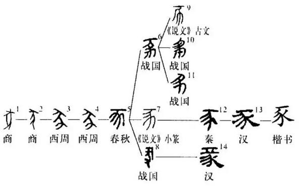 “猪”与“家”的汉字演变与文化内涵