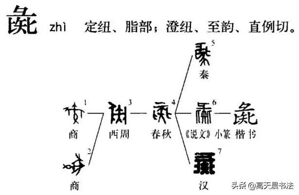 “猪”与“家”的汉字演变与文化内涵