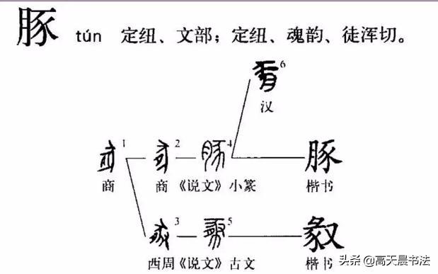 “猪”与“家”的汉字演变与文化内涵