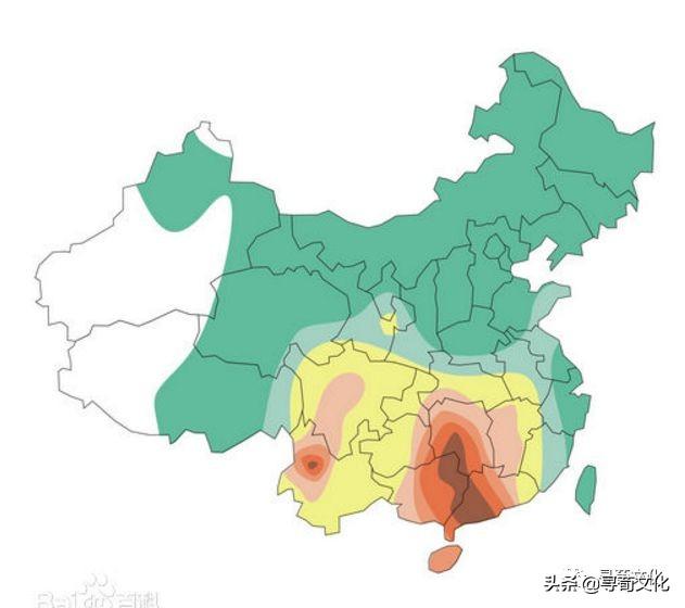 伍-汉字的艺术与中华姓氏文化荀卿庠整理