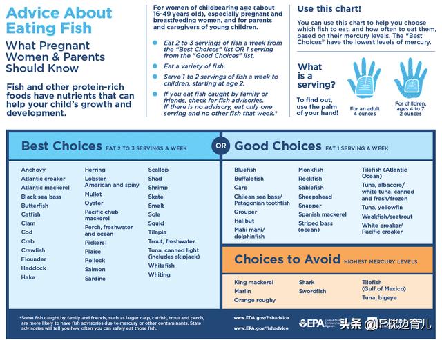 这7种鱼汞含量都超标！美国下了FDA全球通告，孕期的你还在吃吗？