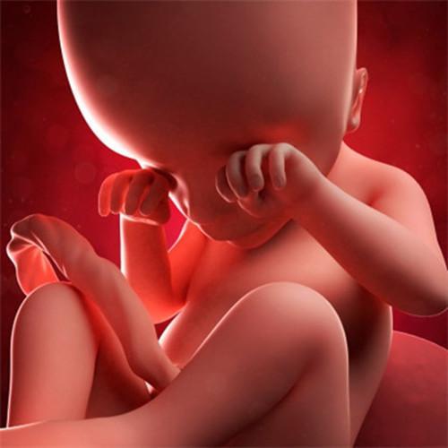 总是听说孕妇需要经历怀胎十月，那胎儿一般在多少周会出生呢？