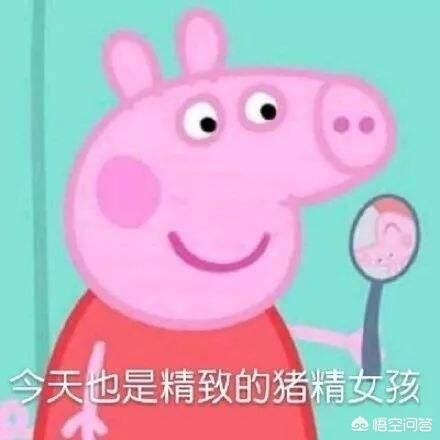 啥是“佩奇”、啥是“佩琦本琦”、啥又是“小猪佩奇”？“佩奇”在中国究竟做了什么？