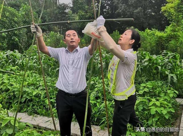 丰县人在上海：我遇到的一个古怪女人