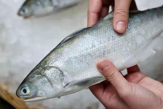 过年买鱼，优先考虑4种淡水鱼，4种海鱼，腥味小味道香，烹饪简单