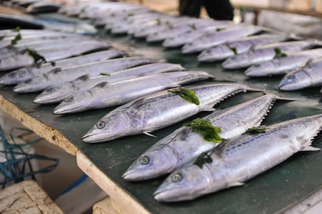 过年买鱼，优先考虑4种淡水鱼，4种海鱼，腥味小味道香，烹饪简单