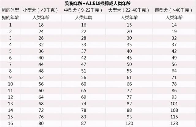 狗狗年龄对照表：你家狗狗现在几岁了？