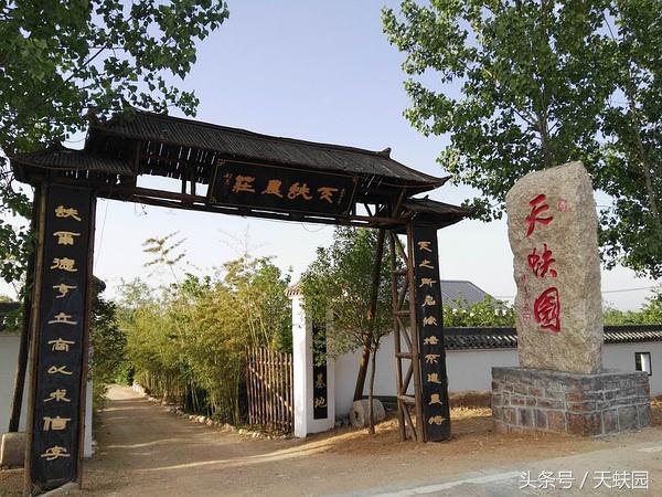 一本大嵩山少林寺旅游的百科全书（图文）