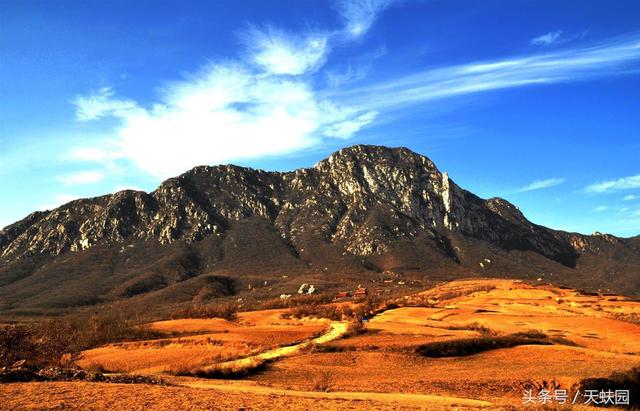 一本大嵩山少林寺旅游的百科全书（图文）