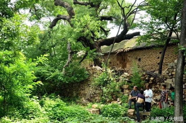 一本大嵩山少林寺旅游的百科全书（图文）