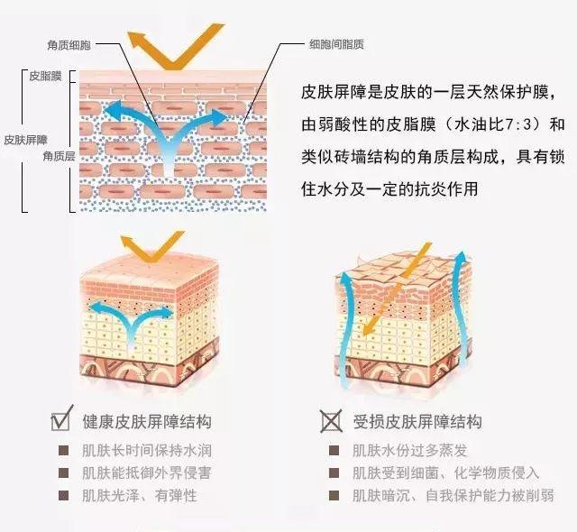 为啥烂脸的总是你？！这是皮肤屏障受损的信号