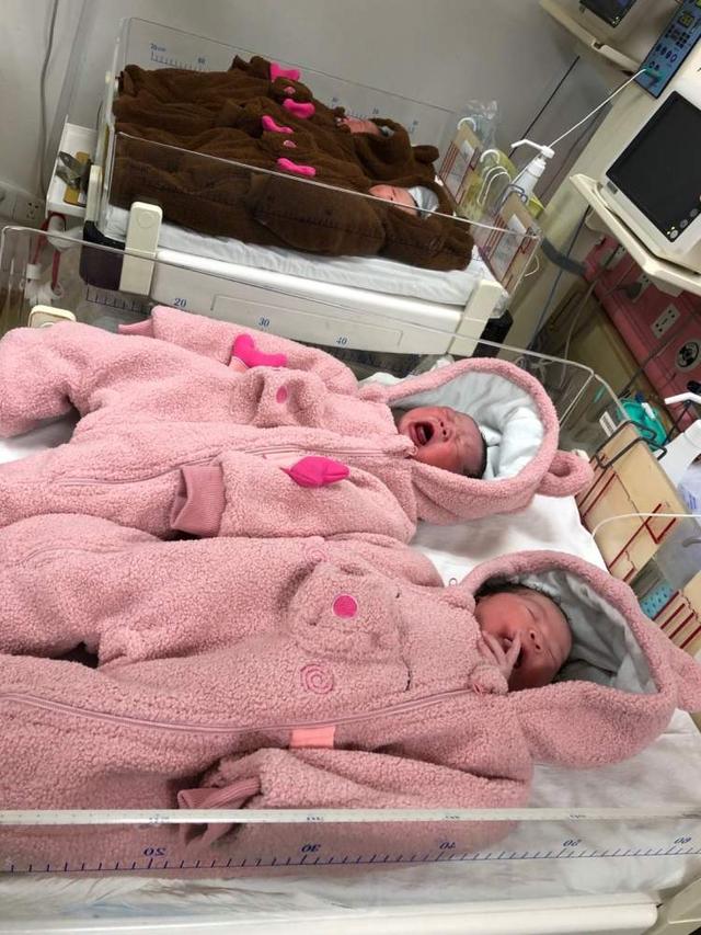 新年前六天，上海2100多个“金猪宝宝”出生！守护与见证最珍贵的全家福！