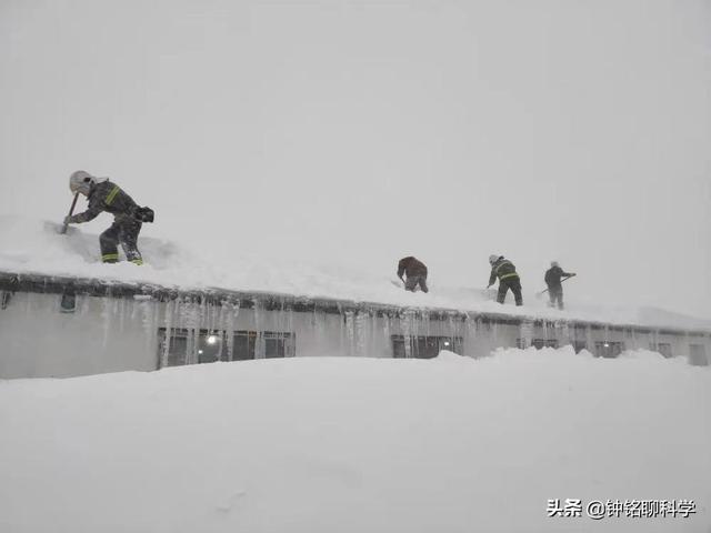 东北或现“座冬雪”，座冬雪有多可怕？东北虎和野猪会受灾吗？