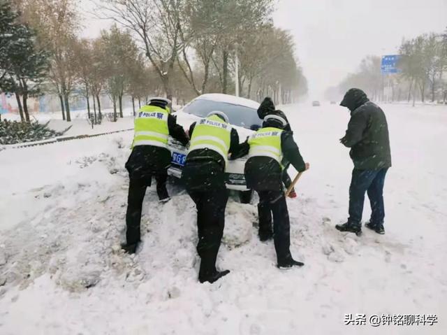 东北或现“座冬雪”，座冬雪有多可怕？东北虎和野猪会受灾吗？