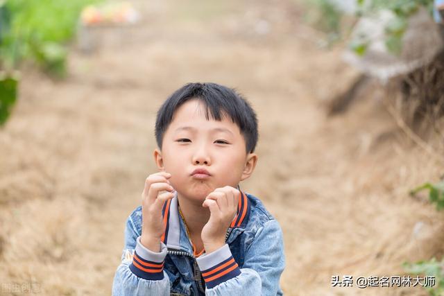 诗里适合的男孩子名字