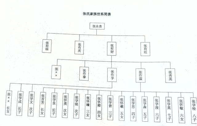 张氏家族世系简表