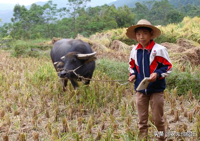 农村老辈人取名讲究“男不带天，女不带仙”是啥意思，有道理吗？