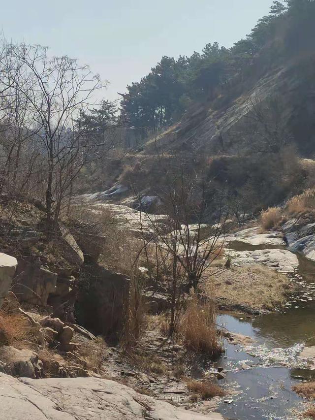 泰安市夏张镇各村介绍：夏张乡村（下）