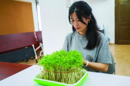 自制“巧果”品味“七夕”这个传统节日，老苏州这样过