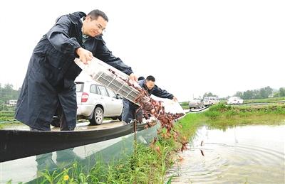 “三治”融合打造乡村治理新格局