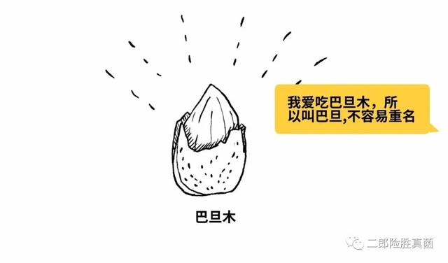 和氏璧咋不叫“卞”氏璧呢？