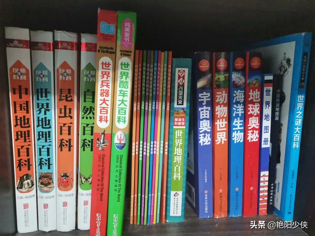 家长们能不能推荐一下自家孩子小学阶段特别爱看的书？