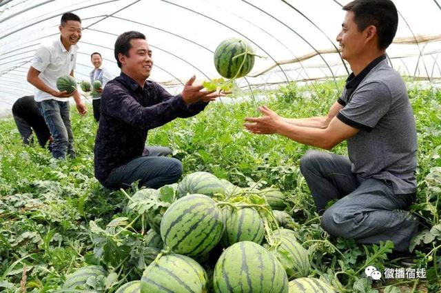 宿迁各乡镇的名称，原来这么有讲究的！快来看看你家