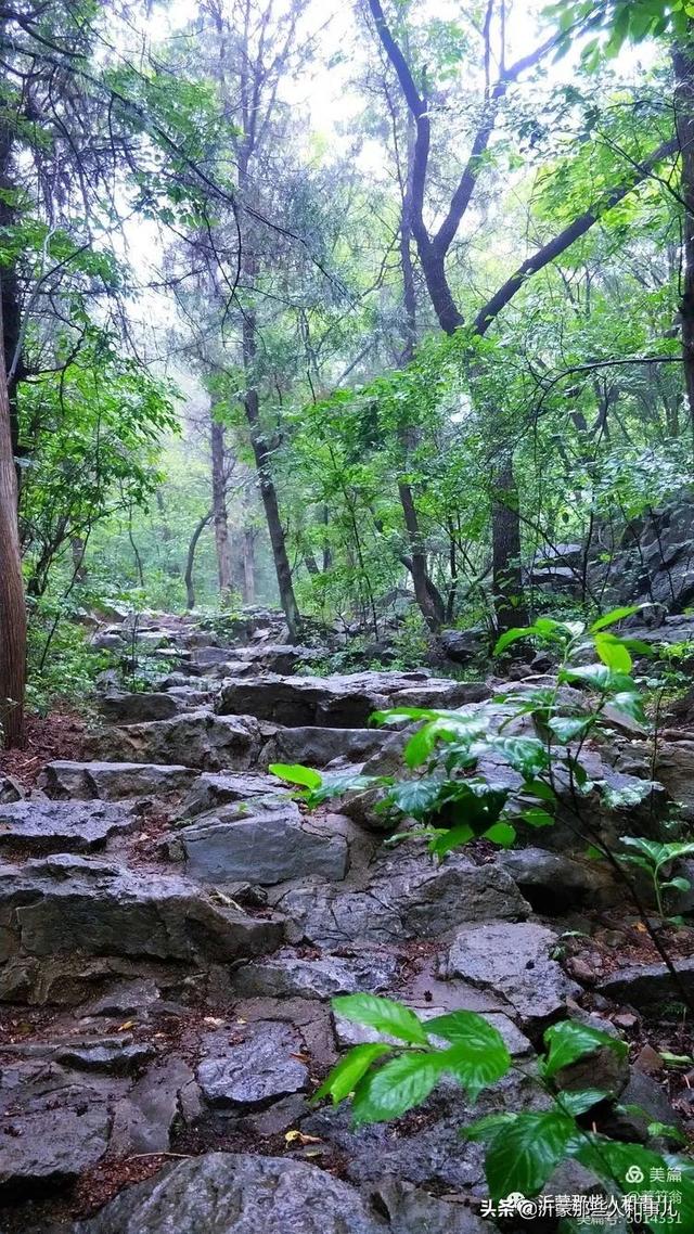 马上！大宗山朗公寺庙会就要举办，拉面哥和大衣哥会来吗？